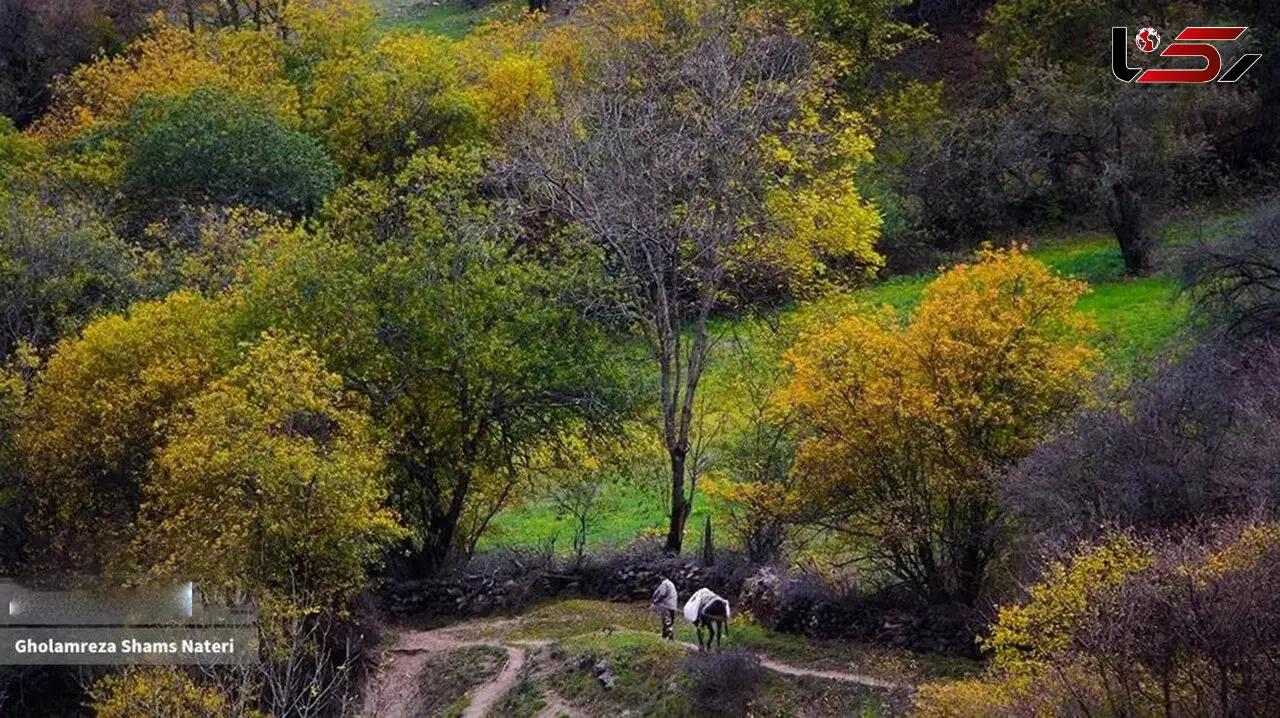 کوهستان چالوس؛ جادوی رنگ‌ ها در دل پاییز