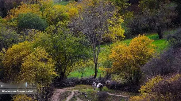 کوهستان چالوس؛ جادوی رنگ‌ ها در دل پاییز
