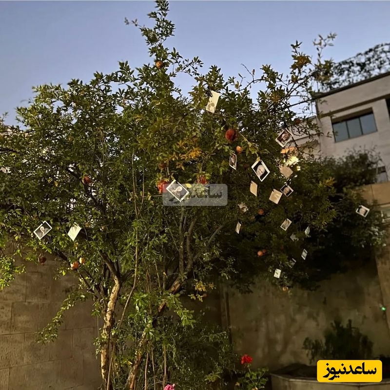 خونه محمد کاسبی
