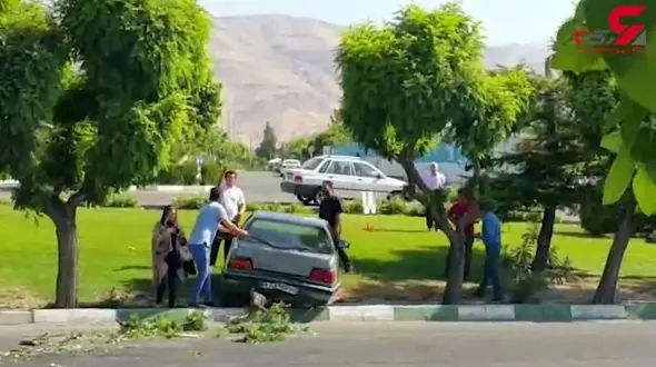 پژو 405 بدون راننده به وسط فضای سبز  رفت + فیلم