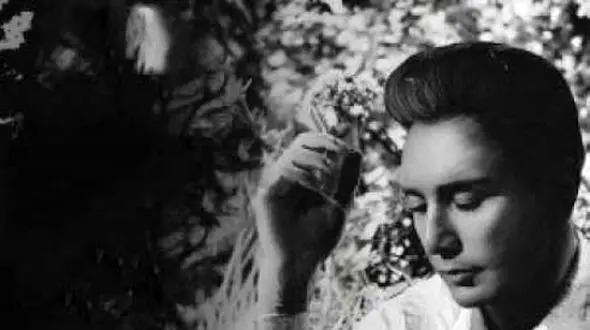 دانلود آهنگ باشکوه شادمهر عقیلی به نام سکوت / از واژه ها خسته شدم بذار یه کم سکوت کنم..