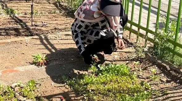 تجربه لذت باغبانی و کشاورزی در بزرگترین مزرعه خانوادگی باغ راه فدک