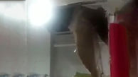 ریزش سقف CCU بیمارستان بر سر یک بیمار در زابل + فیلم