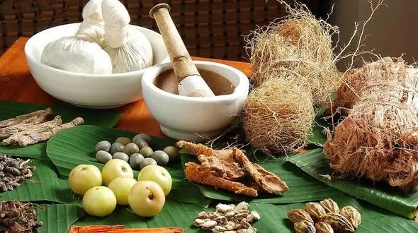 حفظ زیبایی ناخن ها با این گیاهان سنتی