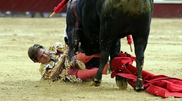 لحظه نفس‌گیر جدال با مرگ یک گاوباز + فیلم