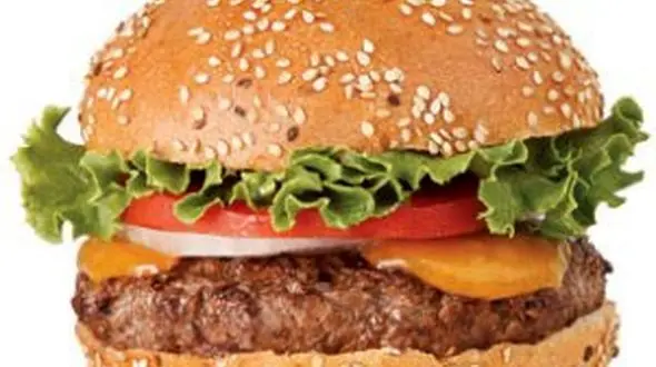 دلایلی مهمی که می گوید نباید هرگز چیز برگر بخورید!