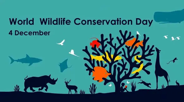 4 دسامبر روز جهانی حفاظت از محیط زیست / نقش شما در حفاظت از سیاره