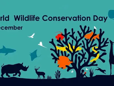 4 دسامبر روز جهانی حفاظت از محیط زیست / نقش شما در حفاظت از سیاره