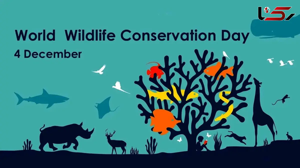 4 دسامبر روز جهانی حفاظت از محیط زیست / نقش شما در حفاظت از سیاره