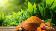 زردچوبه و کنترل وزن در دیابت؛ آیا این ادویه طلایی چربی‌ سوز است؟