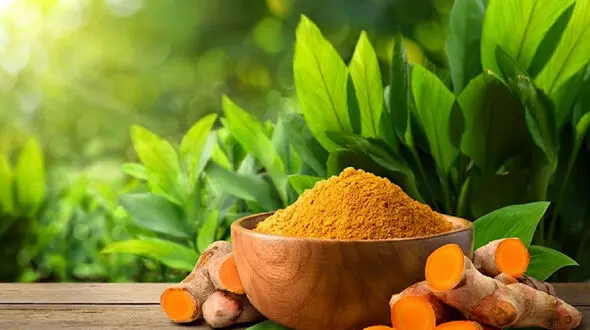 زردچوبه و کنترل وزن در دیابت؛ آیا این ادویه طلایی چربی‌ سوز است؟