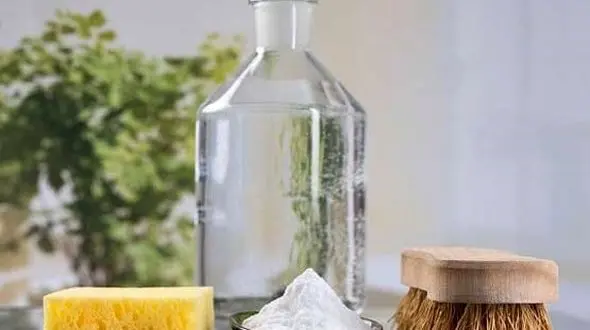 سرسخت ترین جرم های سطوح خانگی را با سرکه از بین ببرید