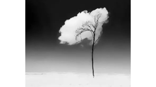 مدیر کاروان زیارتی زنم را به سمت خود کشاند / وقتی عکس های دو نفره آنان را دیدم خشکم زد!