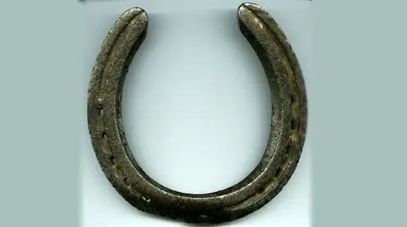 خرابکاری پرنده‌ها روی ماشین نماد پولدار شدن/10 خرافه عجیب برخی مردمان دنیا