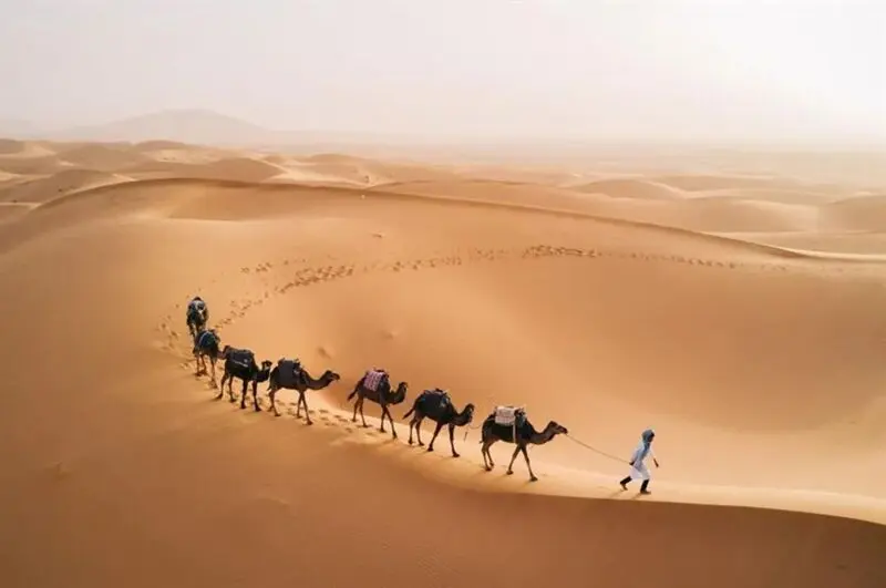 قوم طوارق آفریقا؛ ساکنان افسانه‌ای صحرا