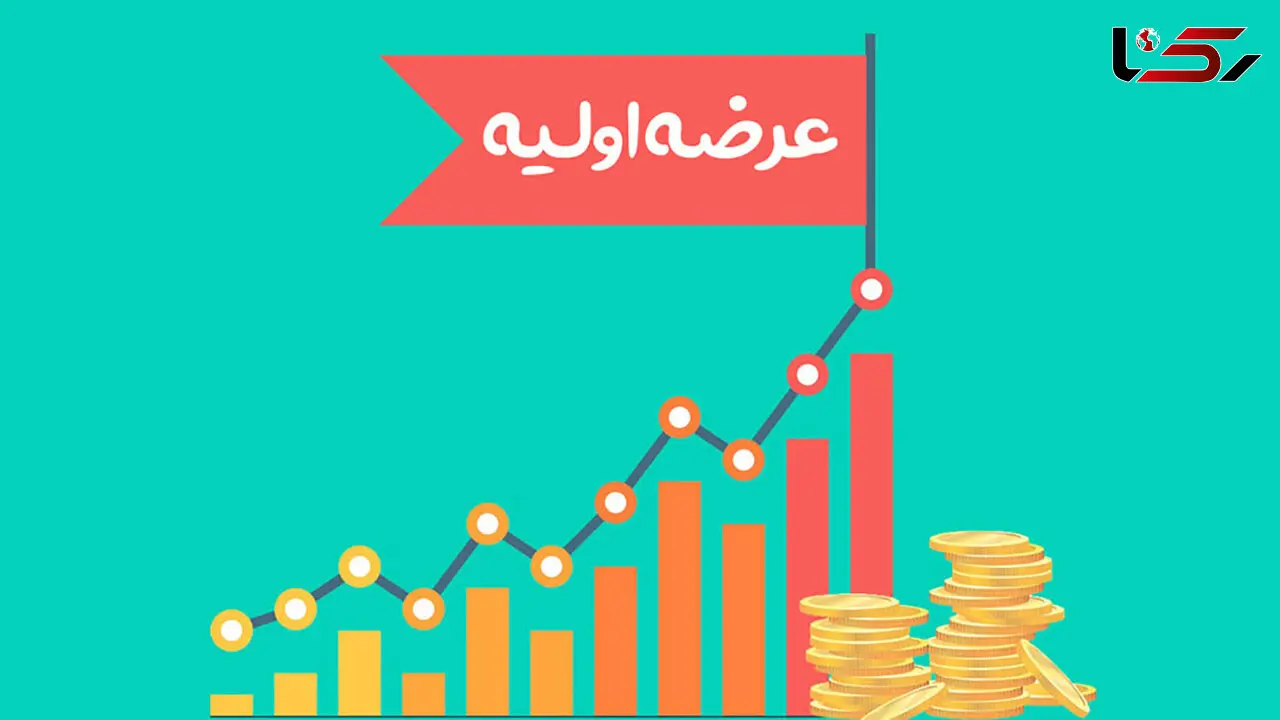 عرضه اولیه یک شرکت لوازم خانگی برای یکشنبه هفته آینده
