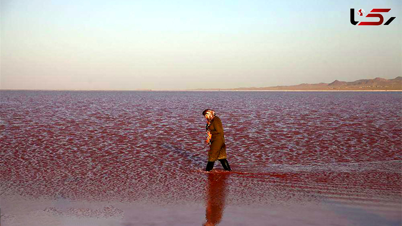 رنگ سلامتی در دریاچه حوض سلطان قم + عکس