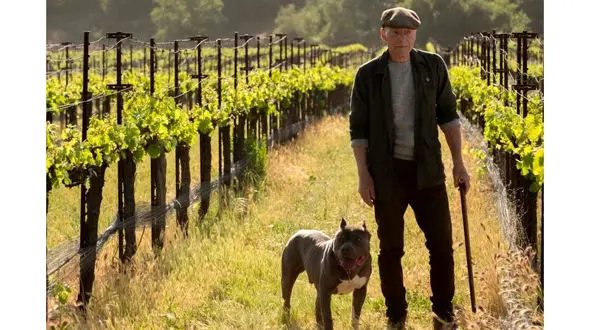 اقدام جالب آقای بازیگر در روزهای قرنطینه 