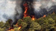 700 آتش سوزی در جنگل های مریوان برای دستگیری اشرار ! / هیرکانی می سوزد و مسئولان گریه نمی کنند!
