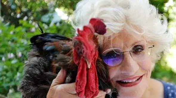 دادگاهی در فرانسه به نفع صاحب یک خروس رای داد+ عکس