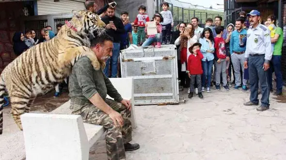 این زن امریکایی و شوهر ایرانی اش عاشق حیوانات هستند / زندگی با حیوانات وحشی در قزوین + عکس