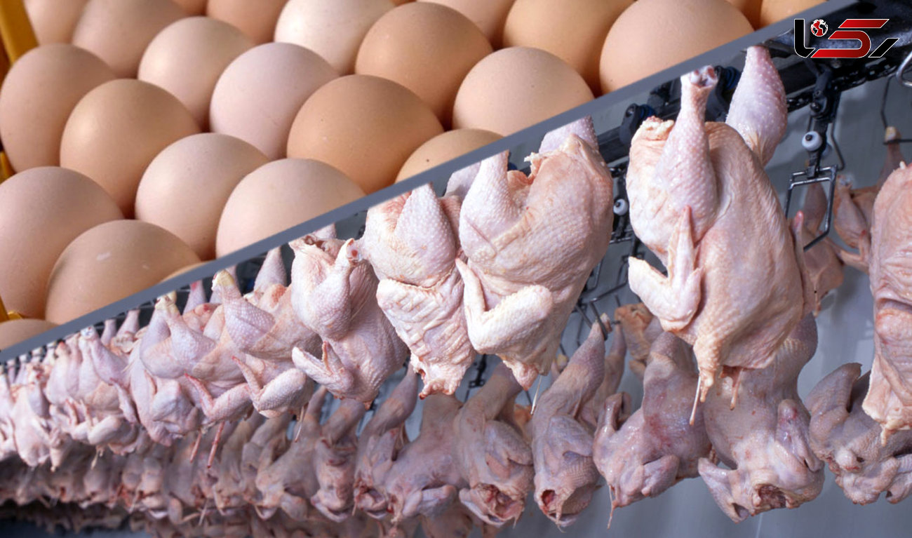 ناکامی صادرکنندگان ایرانی در تجارت جهانی مرغ 