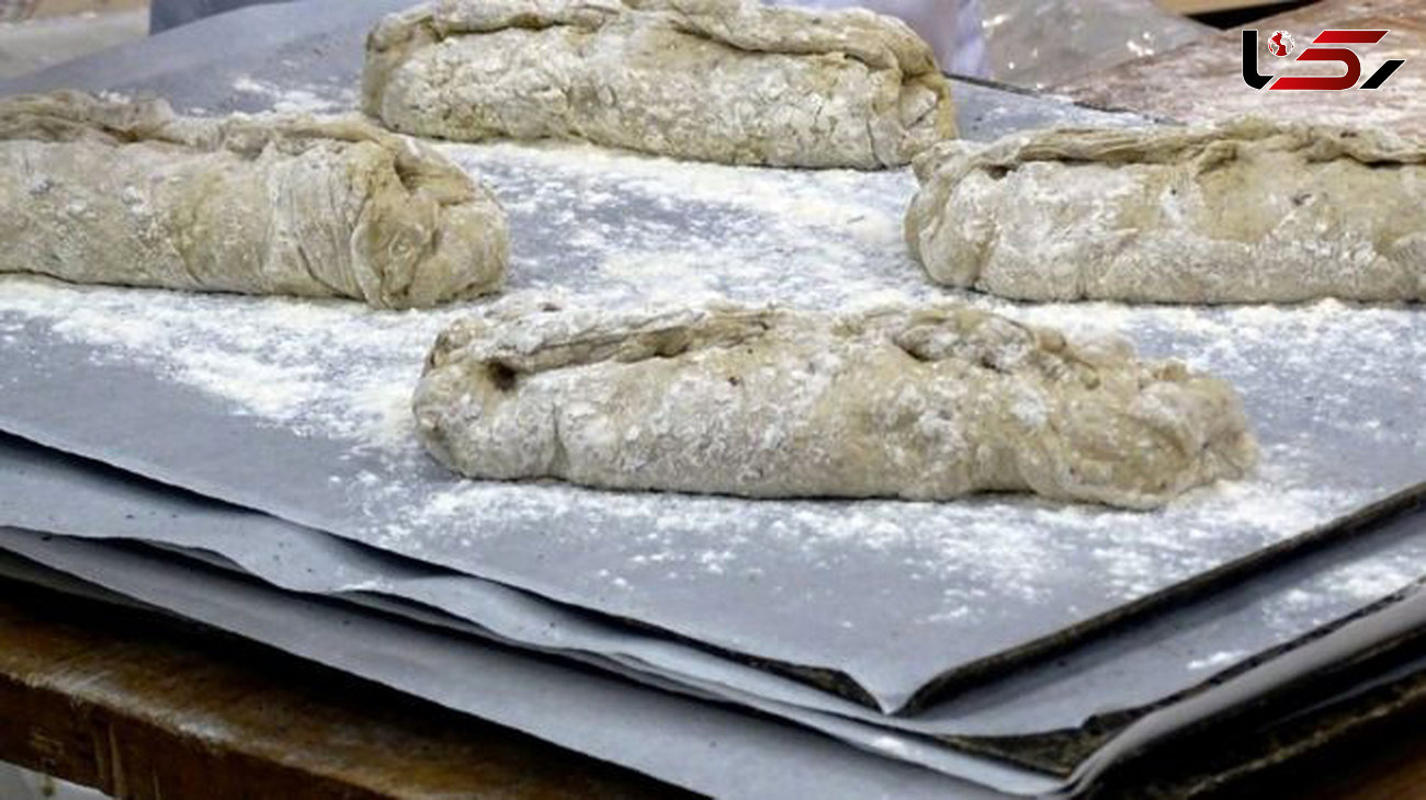 تولید نان از پودر جیرجیرک !/ ورود حشره جدید به رژیم غذایی انسانها