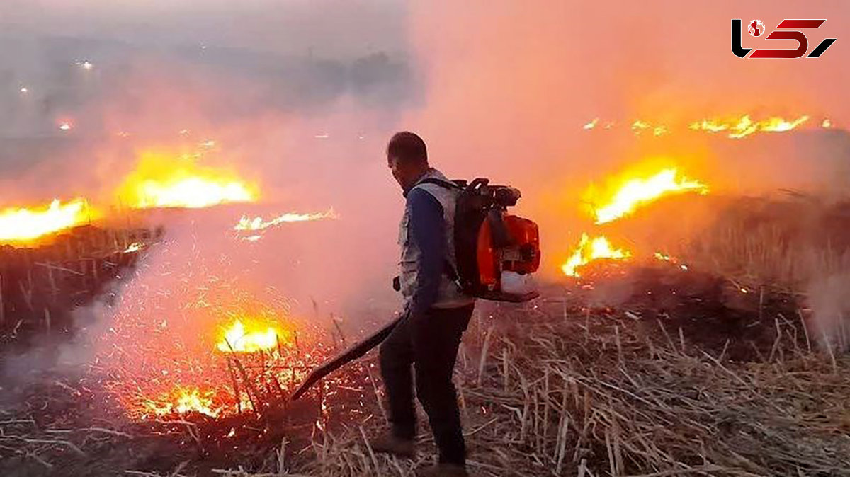 آتش سوزی بزرگ در مزارع استان لرستان خط و نشان در مردان آتش افروز