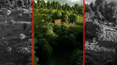 فیلم پرواز بر فراز جنگل های مازندران