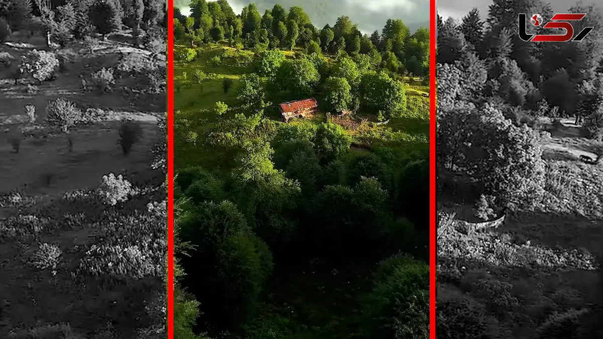 فیلم پرواز بر فراز جنگل های مازندران