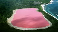 رنگ صورتی این دریاچه خیره کننده است/پدیده ای شگفت انگیز در سنگال