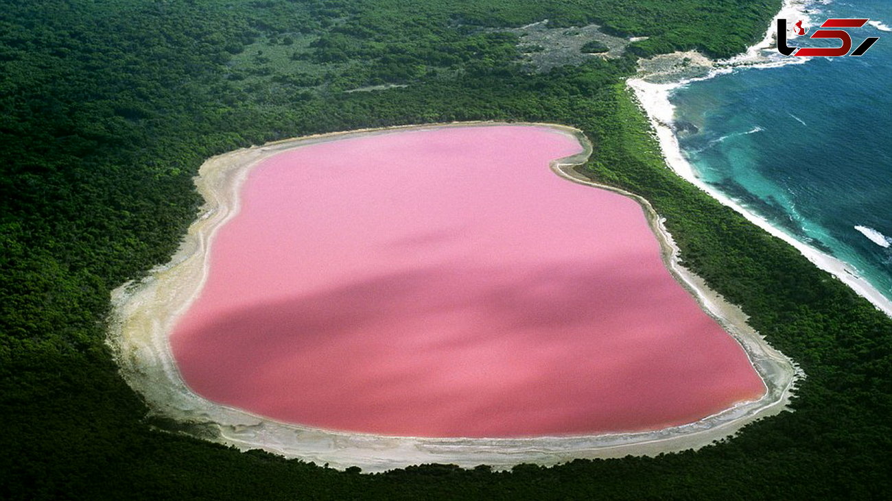 رنگ صورتی این دریاچه خیره کننده است/پدیده ای شگفت انگیز در سنگال