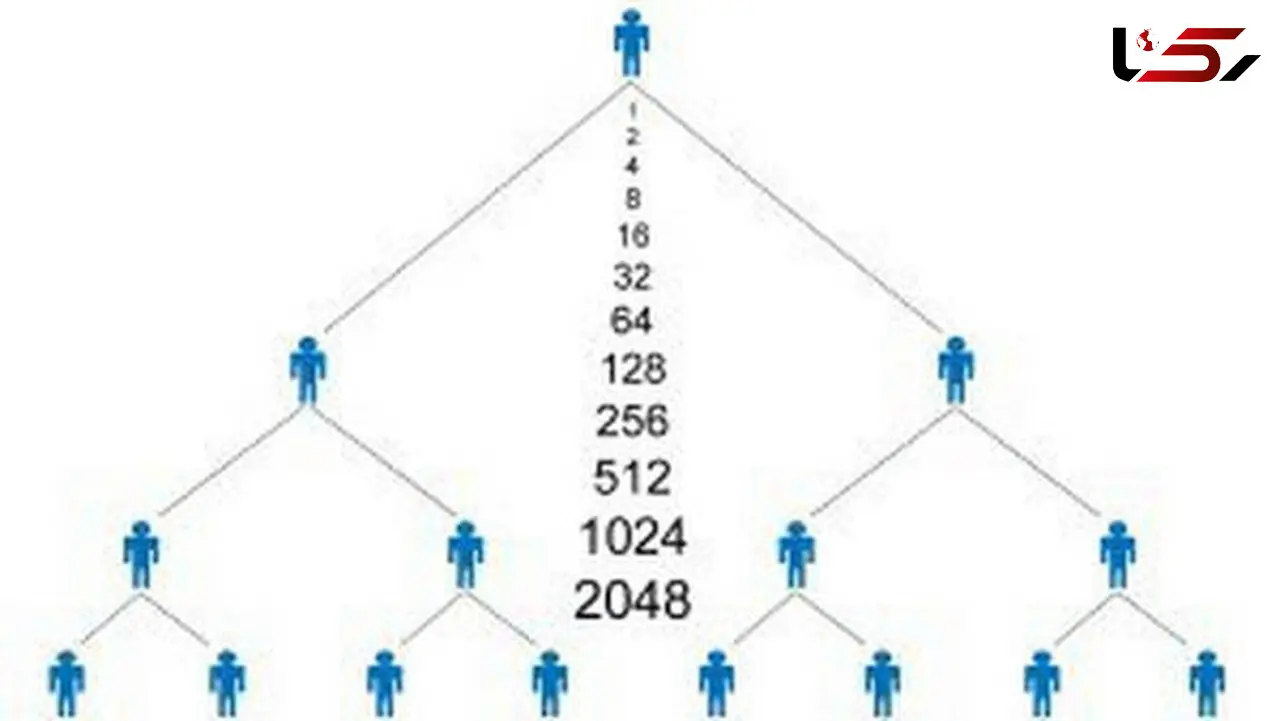 دستگیری 13 سرشاخه شرکت هرمی QNET در کرج