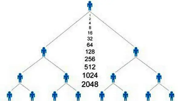 دستگیری 13 سرشاخه شرکت هرمی QNET در کرج