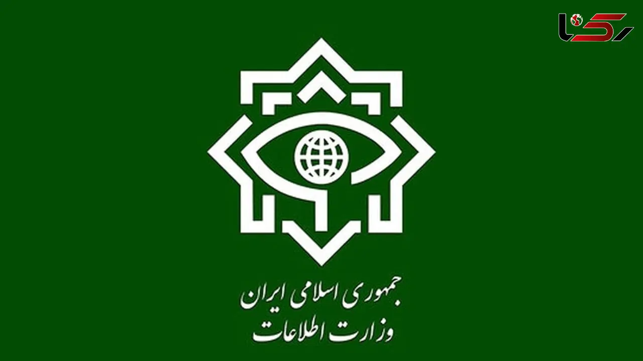 ضربه وزارت اطلاعات به 23 شبکه از عوامل اخلالگر بازار ارز