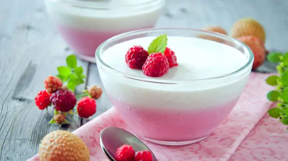 چرا باید مواد حاوی پروبیوتیک بخوریم؟