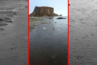 دریاچه ارومیه زنده نشده، تالابی شده که هر سال کم‌جان‌تر می‌شود/ اردیبهشت اوج زندگی، مرداد فصل مرگ/ آب کمتر، زندگی کوتاه‌تر