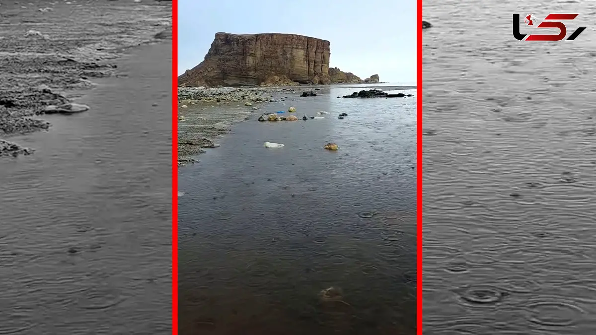 فیلم احیای دریاچه ارومیه پس از بارش ها