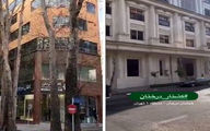 خشکاندن درختان در خیابان های تهران ادامه دارد / جرایم بازدارنده نیست + فیلم 