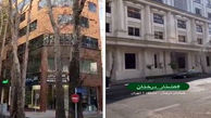 خشکاندن درختان در خیابان های تهران ادامه دارد / جرایم بازدارنده نیست + فیلم 