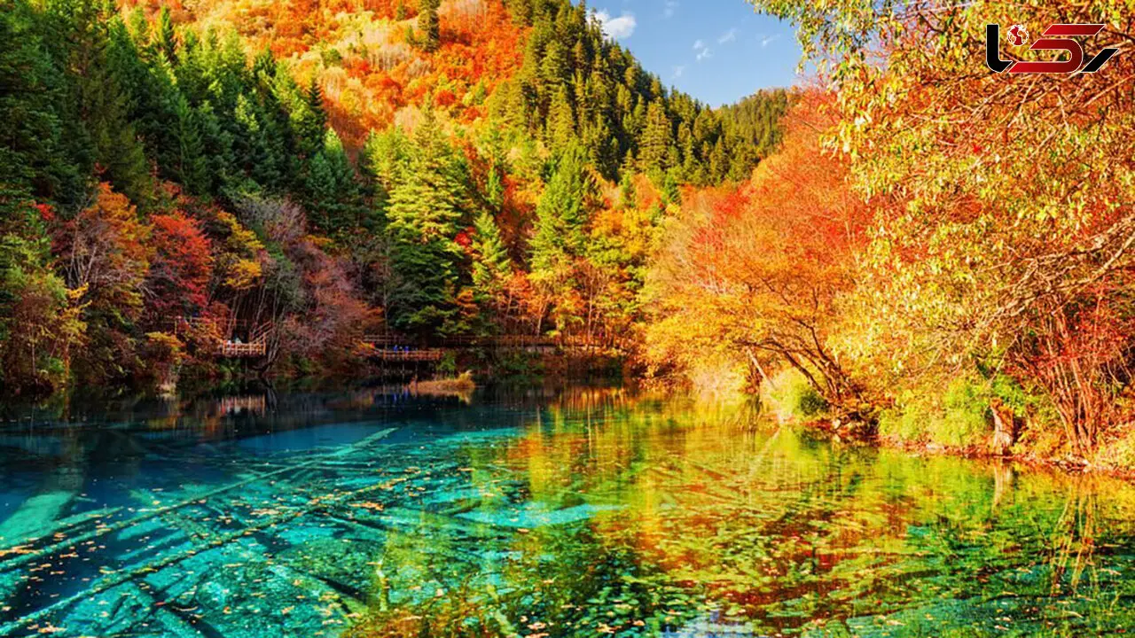 فال و طالع امروز 18 شهریور ماه / تک نیت احساسی، کاری و مالی