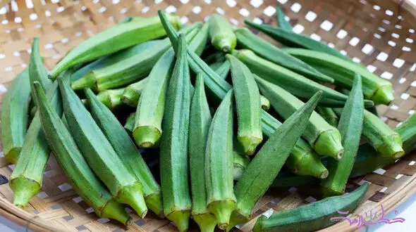 بدون استفاده از روغن بامیه را یک سال داخل فریزر سبز نگه دار + فیلم