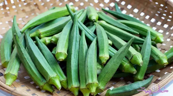 بدون استفاده از روغن بامیه را یک سال داخل فریزر سبز نگه دار + فیلم