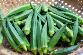 بدون استفاده از روغن بامیه را یک سال داخل فریزر سبز نگه دار + فیلم