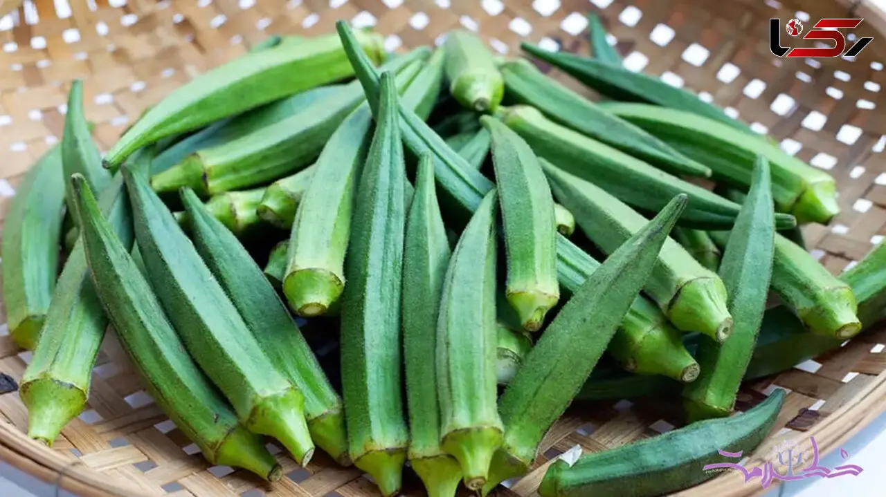 بدون استفاده از روغن بامیه را یک سال داخل فریزر سبز نگه دار + فیلم