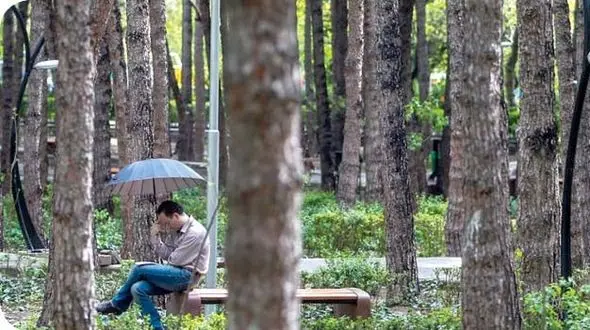 تازه داماد از علت جدایی در دوران عقد گفت / من بچه گانه فکر کردم و ...