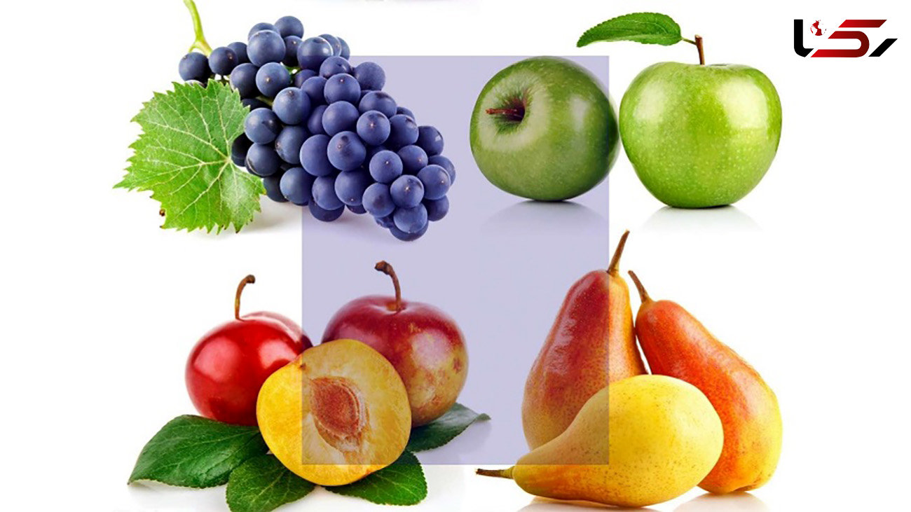 خرید این 5 میوه از میادین میوه و تره بار مقرون به صرفه‌تر است