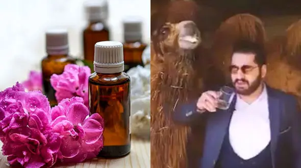 از "گُل بنفشه" تا "ادرار شتر" برای درمان کرونا! + جزییات