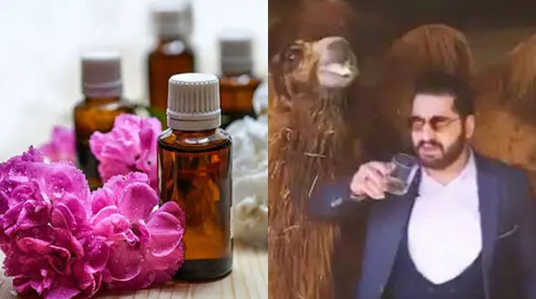 از "گُل بنفشه" تا "ادرار شتر" برای درمان کرونا! + جزییات
