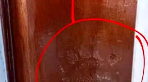 اینجا خرس در می‌زند!/دنبال غذا در خانه روستایی؟